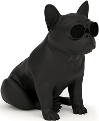 Портативная акустическая система AEROSYSTEM Aerobull XS1 Matt black