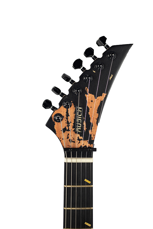Фото Электрогитара RUSICH GUITARS Berserk (black) titanium edition