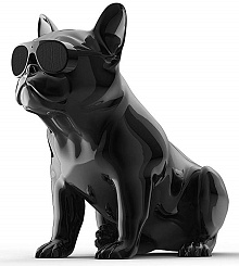 Портативная акустическая система AEROSYSTEM Aerobull XS1 Chrome black