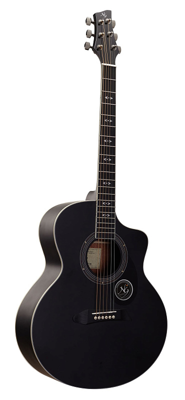 Фото Акустическая гитара NG START BK