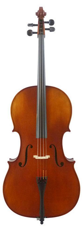 Фото Karl Hofner AS-160-C 4/4