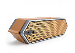 Портативная акустическая система DREAMWAVE Harmony II orange