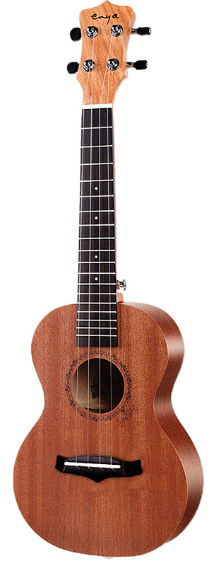 Фото Enya EUC-20