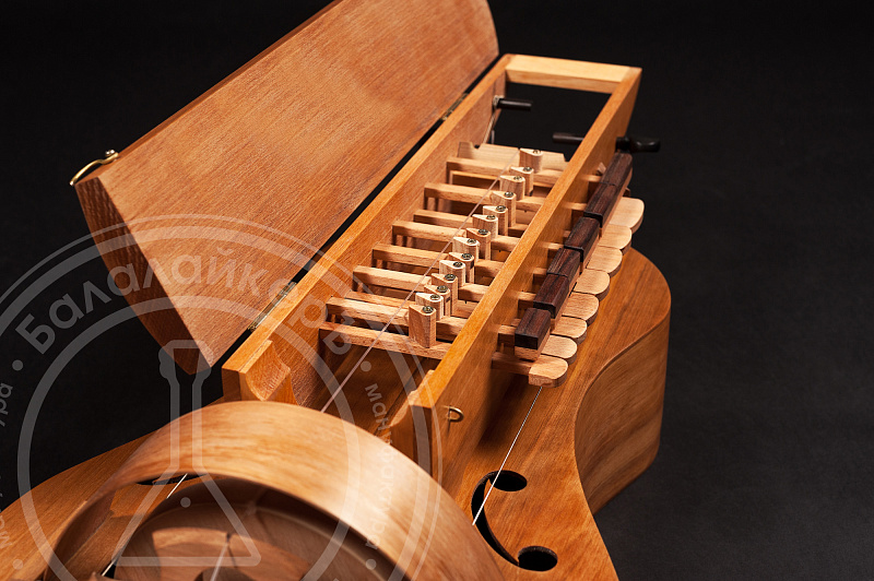 Фото Европейская Колёсная Лира