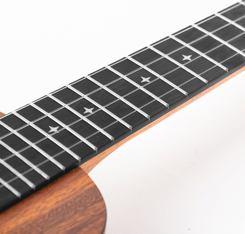 Фото Enya EUS-X1