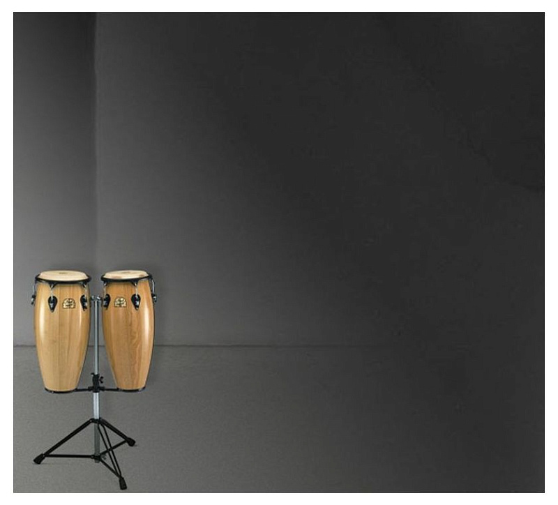 Фото Конги Pearl PFC-201S/ 602