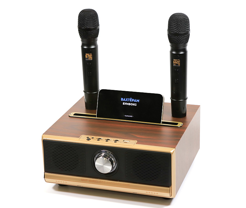 Фото Караоке с встроенной акустической системой MH Technologies Q13 PL