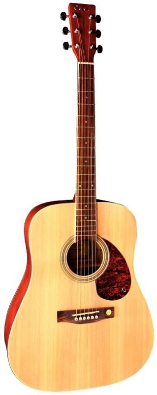 Фото TENSON D10 Dreadnought Natural (F501310)