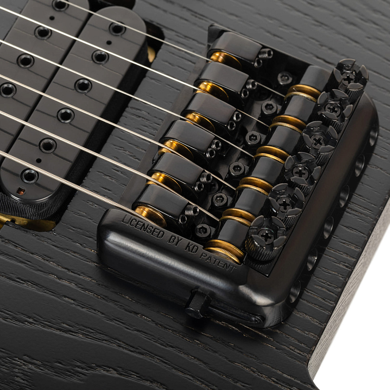 Фото Электрогитара EART GW2 Stealth Black