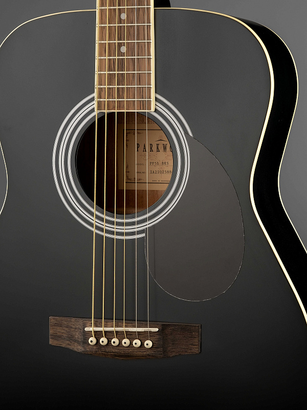 Фото Акустическая гитара Parkwood PF51-WBAG-BKS