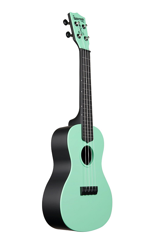 Фото WATERMAN by KALA KA-CWB-GN Green, Matte, Concert Ukulele w/Bag
