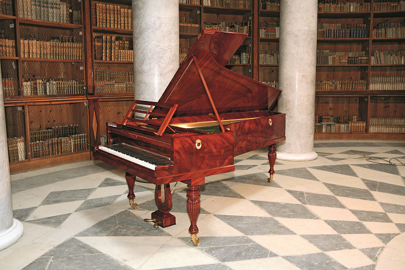 Фото PAUL McNULTY CC - F4 AFTER PLEYEL OP. 1555, 1830