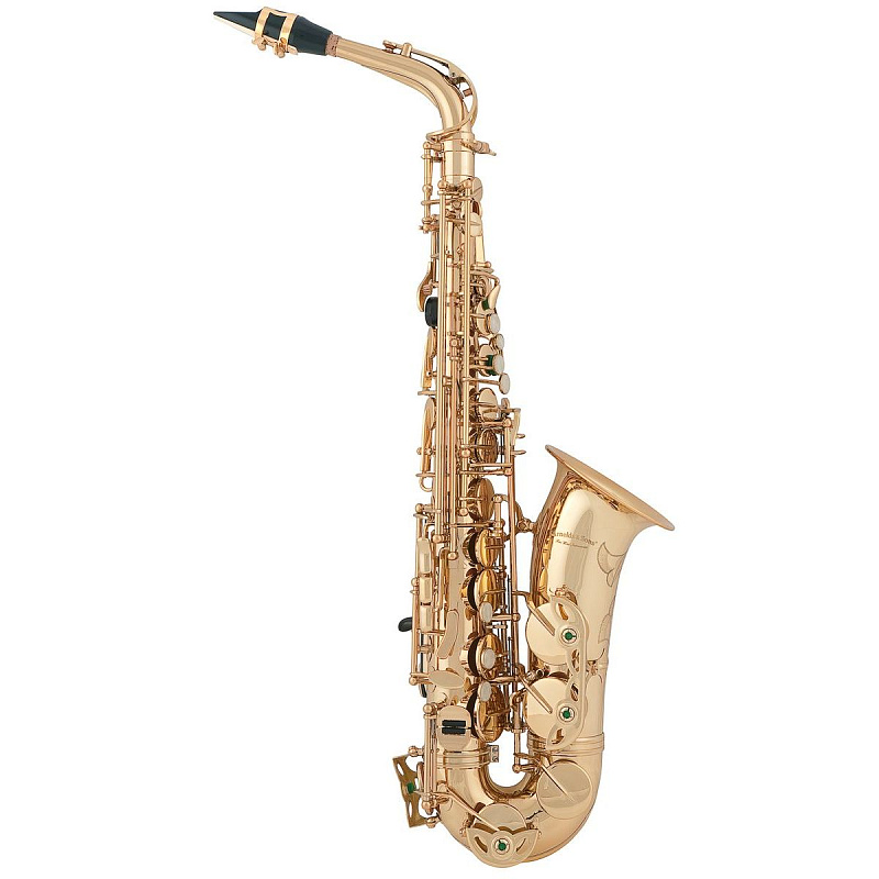 Arnolds&Sons AAS-300-TERRA в магазине Music-Hummer