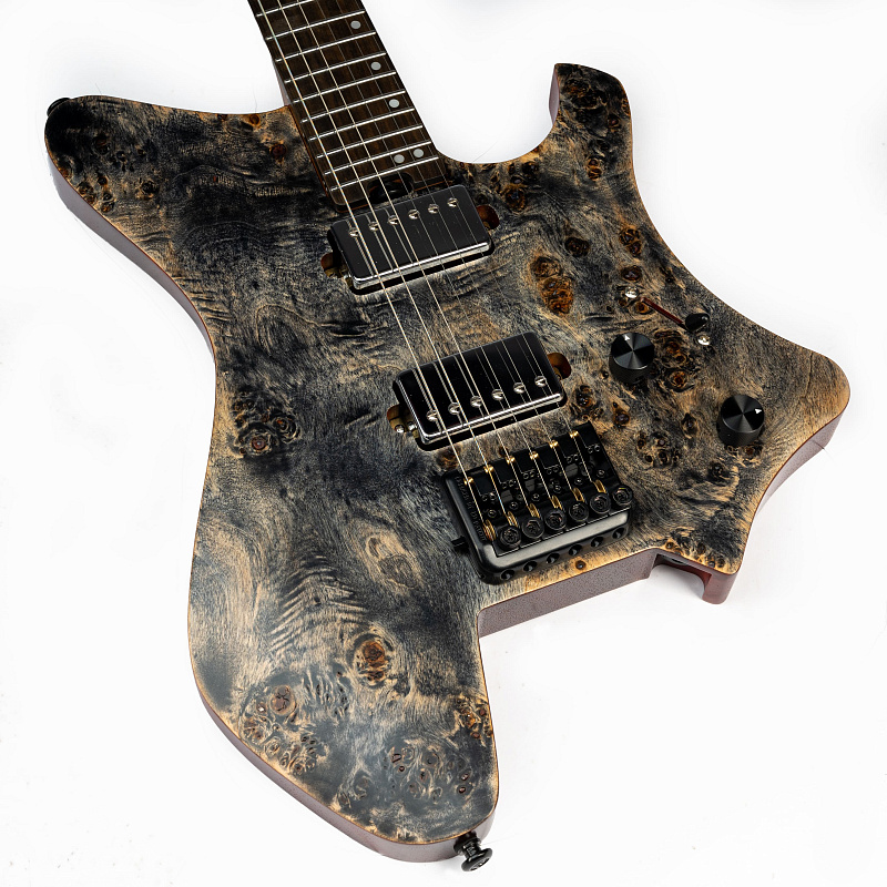 Фото Электрогитара EART GW2 Black