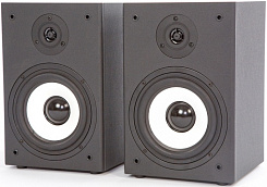 Активная акустическая система MADBOY BONEHEAD-206