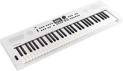 Цифровые пианино Roland GO:KEYS-5-WH
