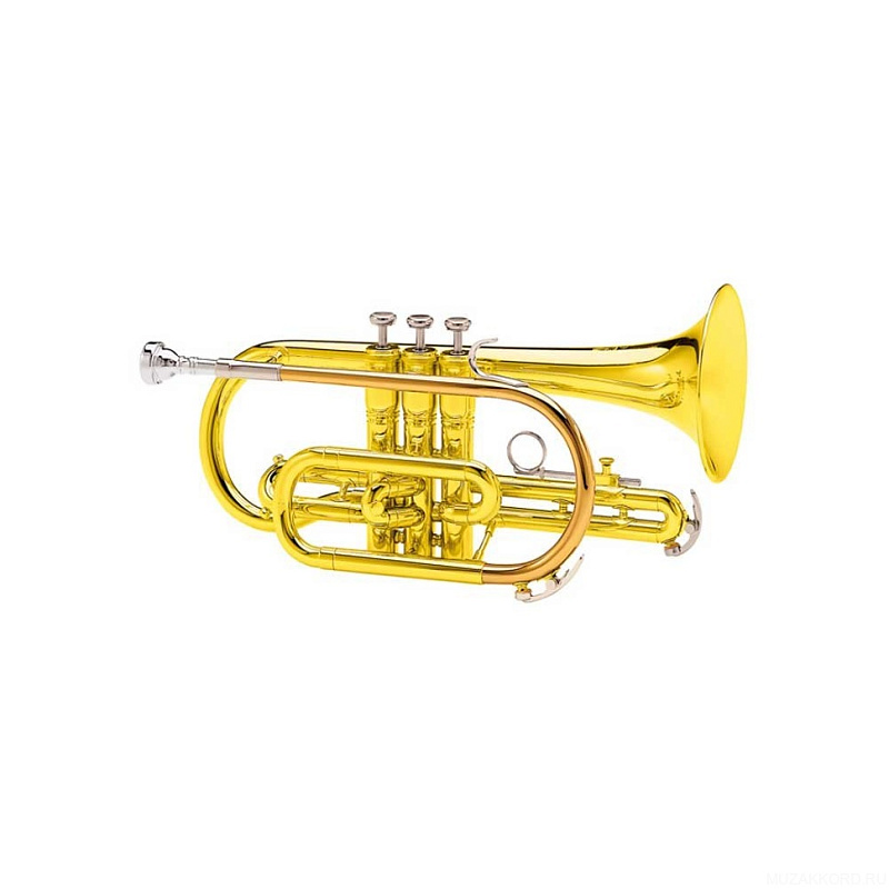 Фото KING 605W Bb