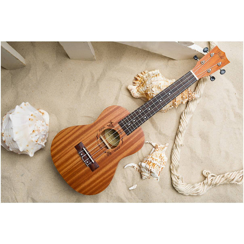 Фото Укулеле концерт FLIGHT NUC310