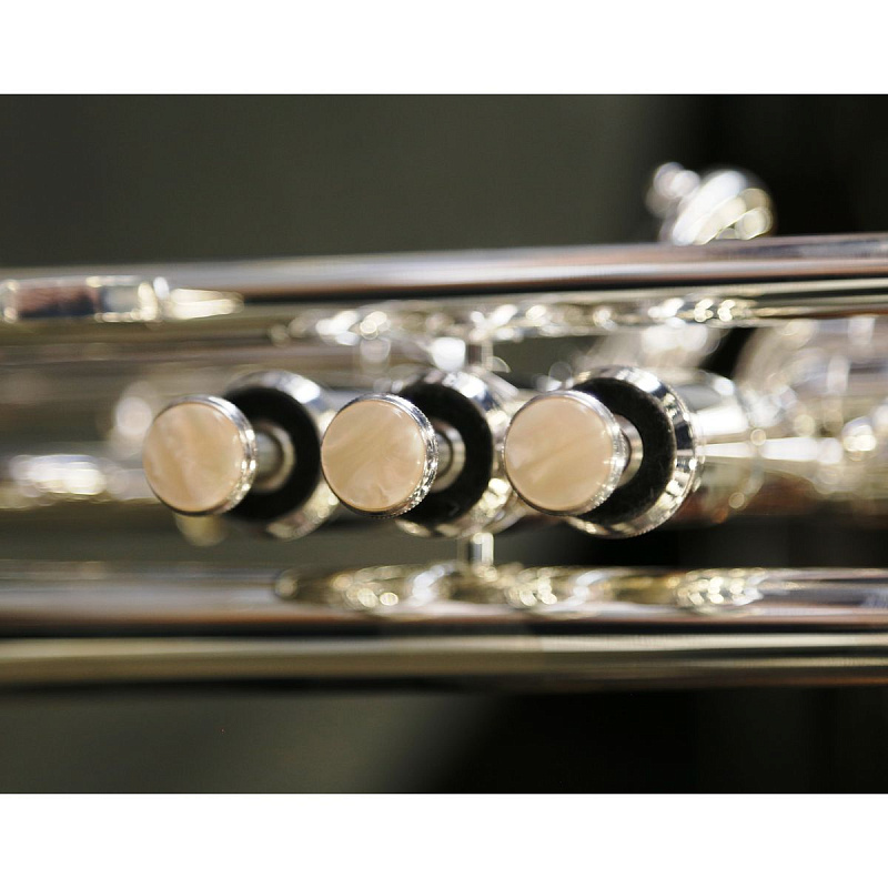 Фото Труба Gebr. Stolze TR-108S