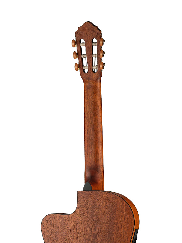 Фото Электро-акустическая Parkwood PC110-WBAG-OP