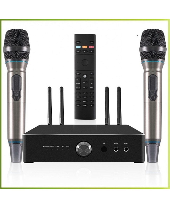 Фото Комплект караоке REXUS SA-2KA