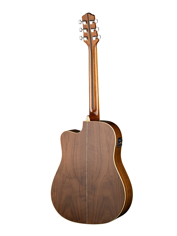 Фото Акустическая гитара Naranda DG403CEN