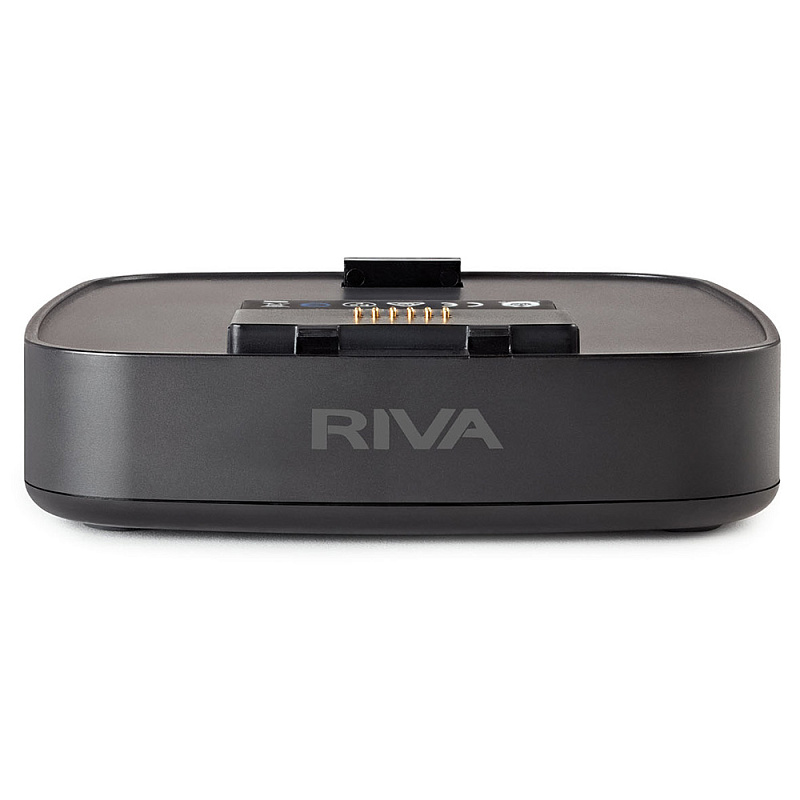 Фото Беспроводные решения / мультирум RIVA Audio Arena Battery
