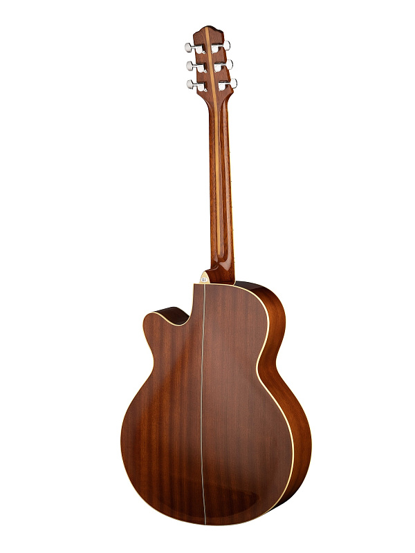 Фото Акустическая гитара  Naranda F303CNA