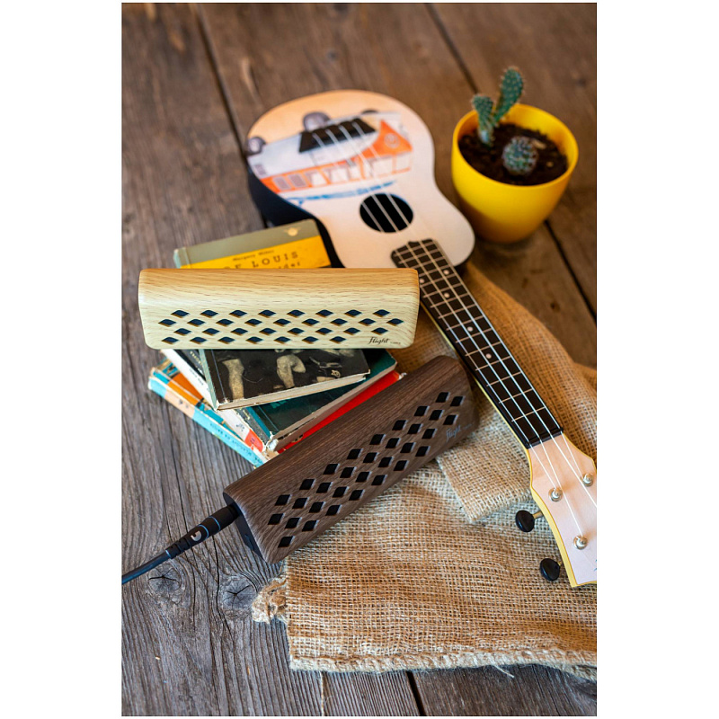 Фото FLIGHT Tiny 6 Walnut - Комбоусилитель для укулеле Флайт