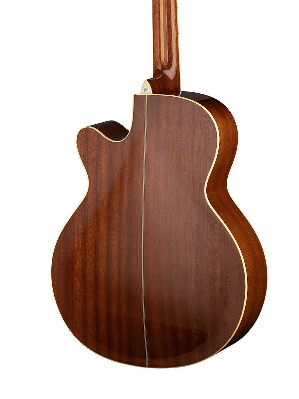 Фото Акустическая гитара  Naranda F303CNA