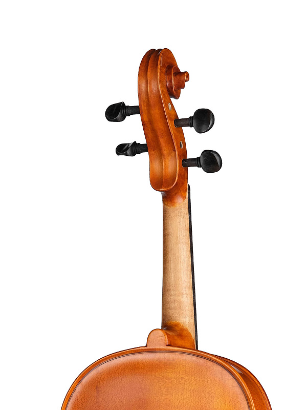 Фото Альт Gliga S-V165 Student Genial 1 Oil