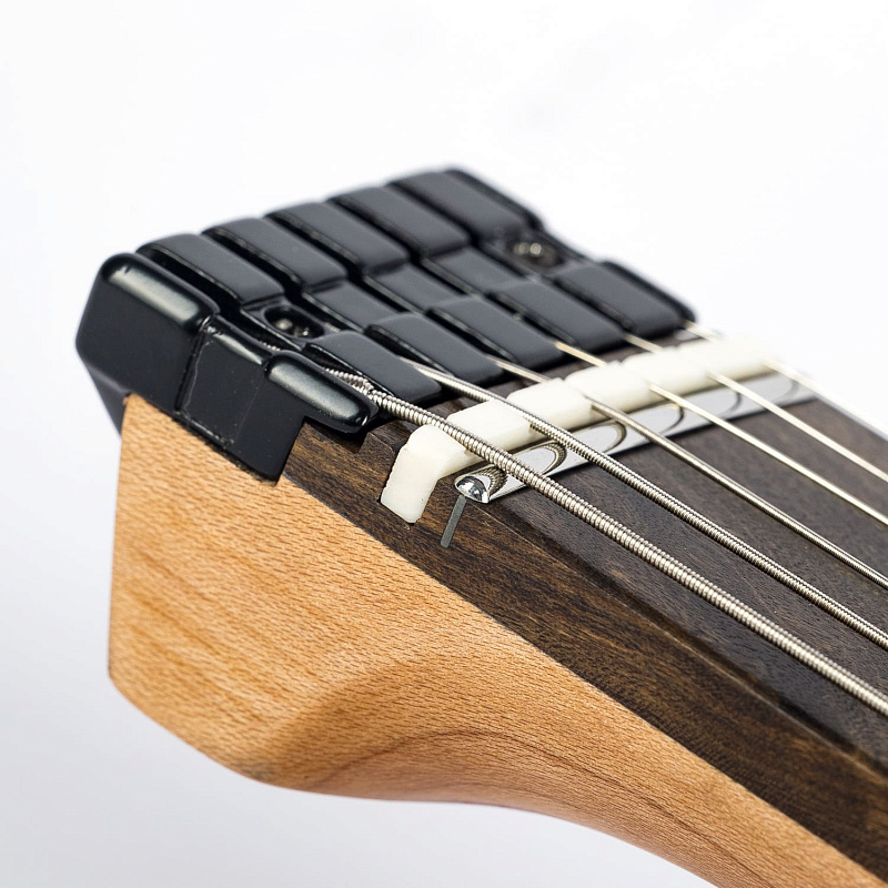 Фото Электрогитара EART GW2 Black