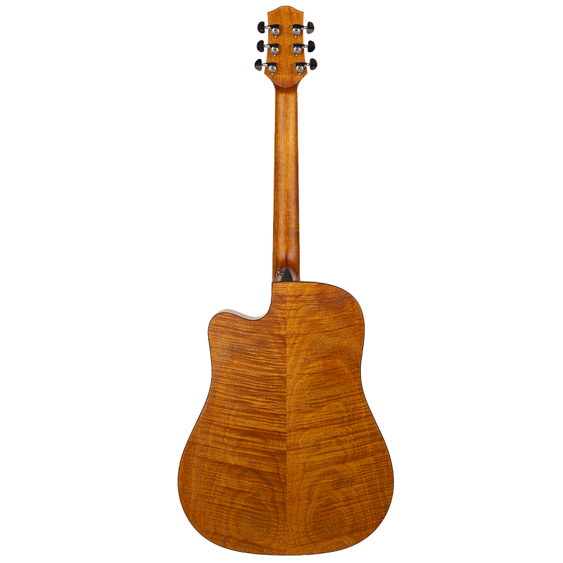 Фото Акустическая гитара Aion Q20M