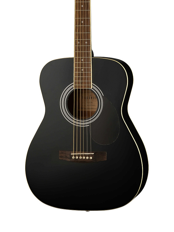 Фото Акустическая гитара Parkwood PF51-WBAG-BKS