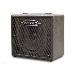 Комбоусилитель для бас гитары с тюнером ARTEC B25T