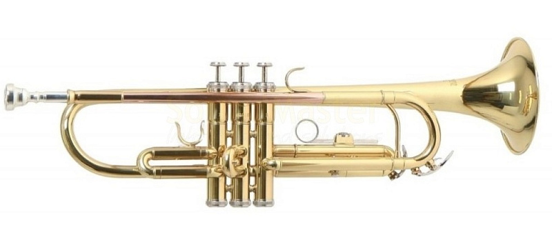 Фото ROY BENSON TR-101 Bb