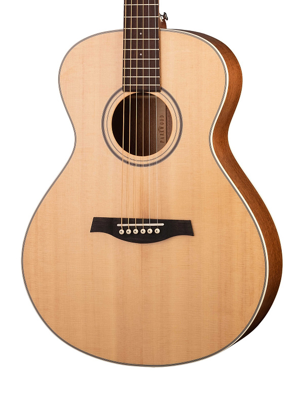 Фото Акустическая гитара Parkwood S23-GT