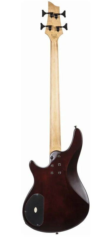 Фото Бас гитара Schecter SGR C-4 BASS WSN