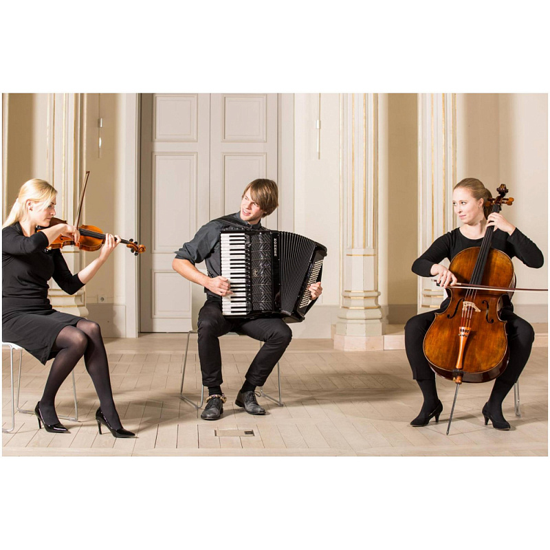 Фото HOHNER MATTIA IV 120 BK gun black - Аккордеон 4/4 Хонер