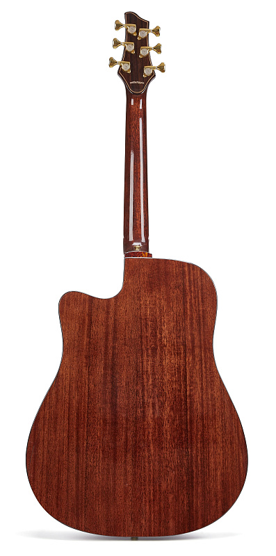 Фото Акустическая гитара NG DM411SC BR