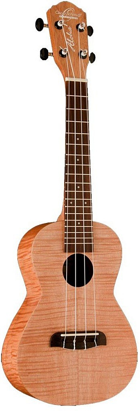 Фото Oscar Schmidt OU2F