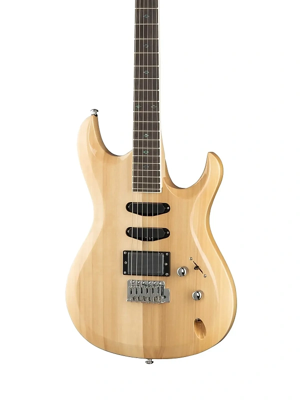 Фото Электрогитара Caraya E226N 