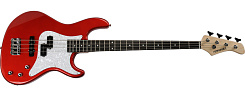 FERNANDES R4X CAR