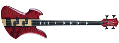 B. C. Rich NTMBN